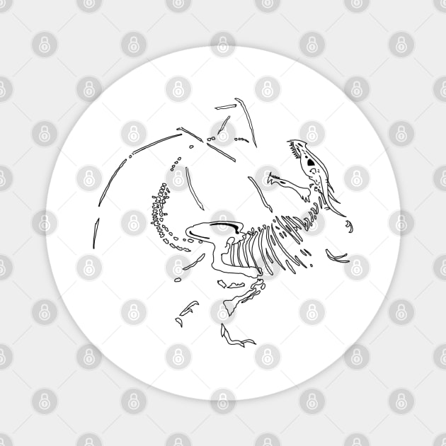 Dragon Fossils Magnet by H. R. Sinclair